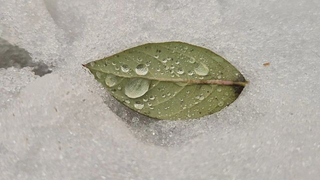 Фото: телеканал «Краснодар»