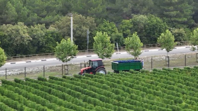 Главные новости Краснодара и Кубани от 10 октября 