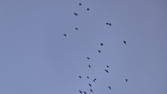 На видео сняли обстановку во время атаки БПЛА на Саратов