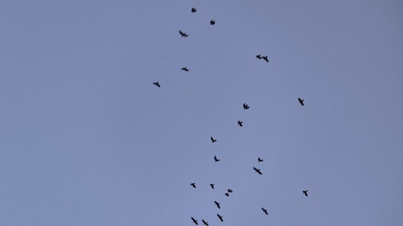 На видео сняли обстановку во время атаки БПЛА на Саратов