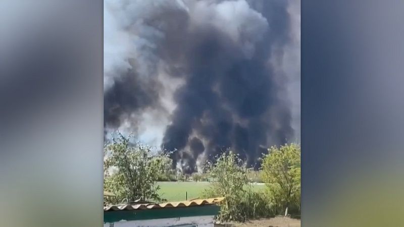 Очевидцы сняли пожар на плавнях в Щербиновском районе 