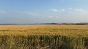 Петр Столыпин был убит террористом 115 лет назад в Киеве