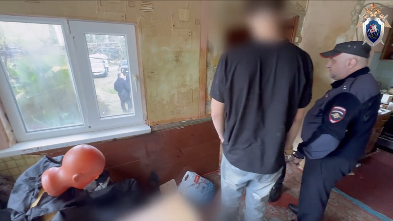 Появились подробности об убийстве 58-летней женщины ее внуком на Кубани