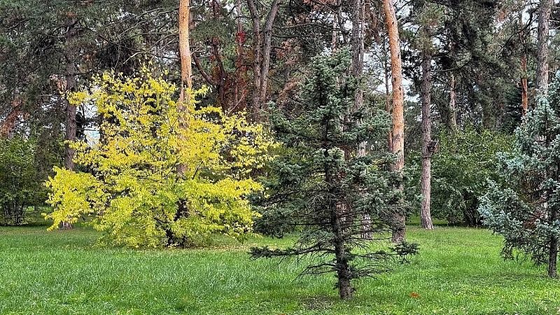 Цены на землю снизились до 1,97 млн рублей за сотку в Краснодаре