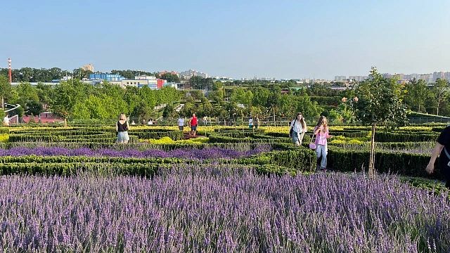 Фото: телеканал «Краснодар»