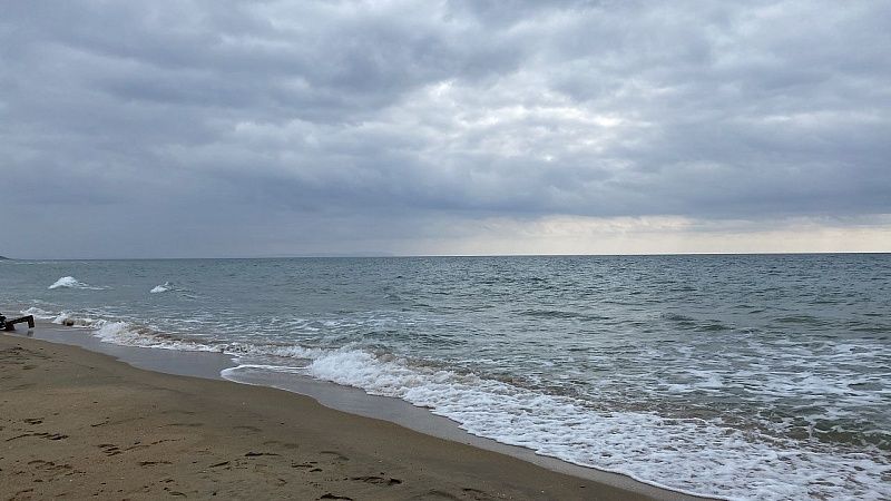 РАН провела экспедицию по изучению разлива мазута в Черном море