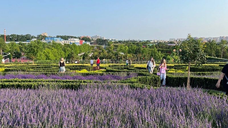 До +34°С и ураганный ветер прогнозируют 29 августа на Кубани