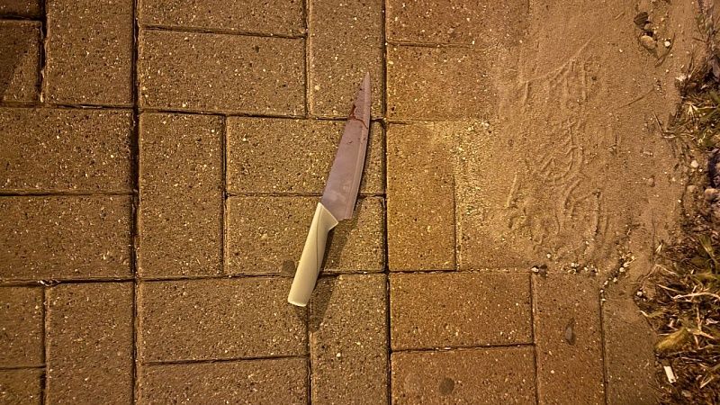 Голый неадекват устроил дебош в Геленджике