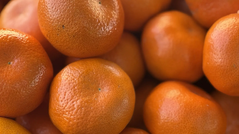 Биолог Лялина назвала продукты, которые помогают меньше потеть 