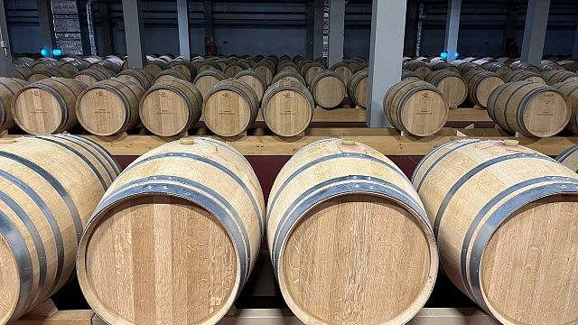 Фото: телеканал «Краснодар»