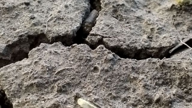 Очевидцами землетрясения в Турции стали студенты из Адыгеи