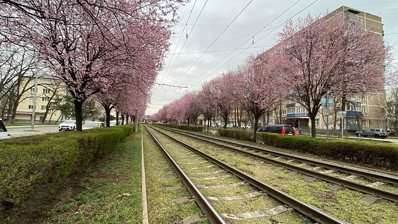 В здании бывшего ресторана «Бургас» может появиться «Магнит» в Краснодаре