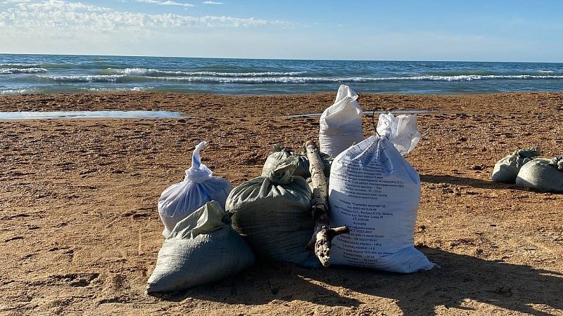 Краснодарские студенты приняли участие в очистке Чёрного моря в Анапе