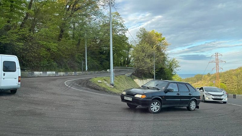 Упавшее дерево парализовало движение в Сочи