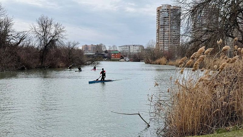 Крокодил кошмарил краснодарцев на протяжении нескольких месяцев. Как экзотическая рептилия оказалась в реке Кубань?