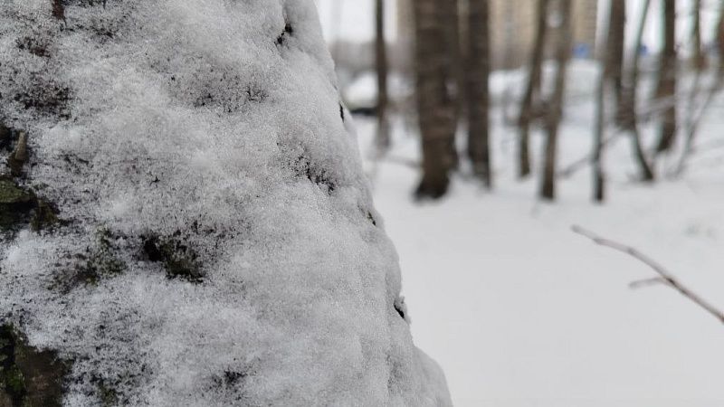 Синоптик спрогнозировал первый снег 13 октября в Подмосковье 