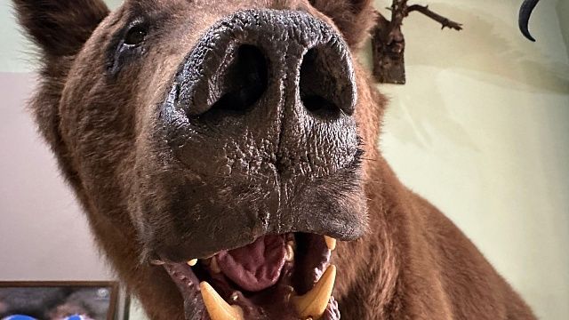 Фото: телеканал «Краснодар»