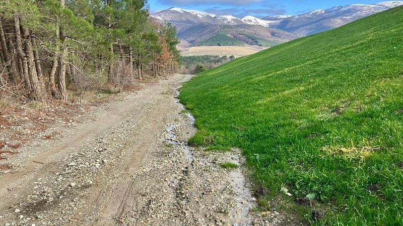 Свалка в Кабардинке превратилась в зеленый уголок  