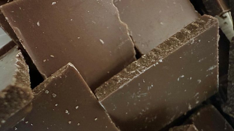 Шоколад с личинками «Жуколад» начали продавать на Украине