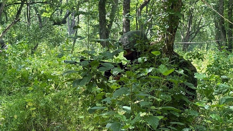 Самые масштабные учения в своей истории начал Тайвань