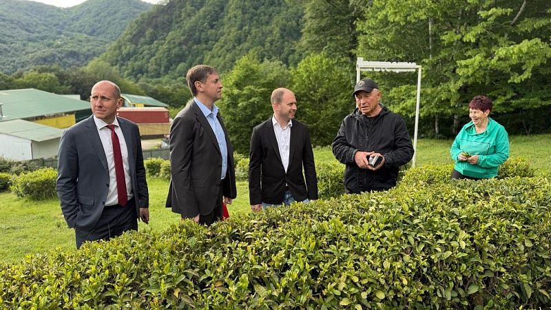 Замглавы Минпромторга Чекушов посетил торговые точки в Сочи