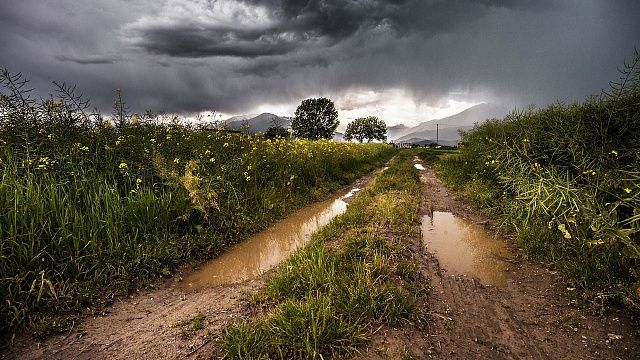 Дождь 1 августа предвещал мокрую осень. Фото: pixabay.com
