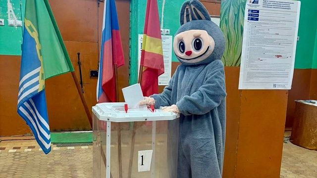 Избиратель проголосовал в костюме Лабубу в Челябинской области