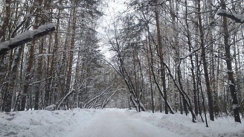 Двое мужчин переночевали в палатках при морозе -43 в Красноярском крае