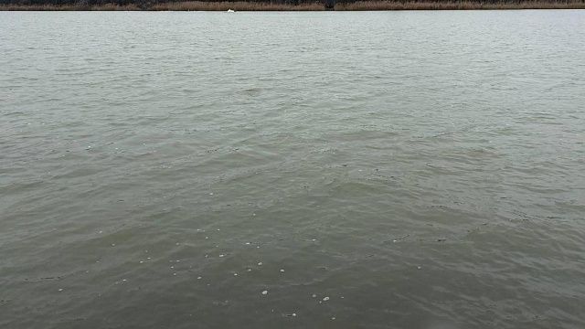 Фото: телеканал «Краснодар»