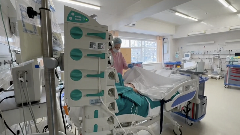 Отец покусанного хаски мальчика в Сочи заявил, что сын пытается вставать