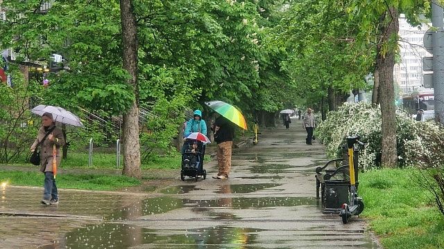 Фото: телеканал «Краснодар»