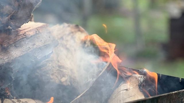 Фото: телеканал «Краснодар»