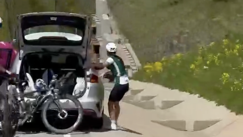 Медведь вышел на дорогу во время заезда велосипедистов в Красной Поляне