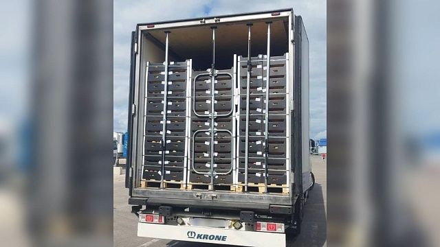 Замаскированные под яблоки наркотики обнаружили в фуре в Подмосковье