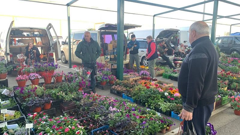 На въезде в Краснодар открылась крупнейшая в крае цветочная ярмарка  
