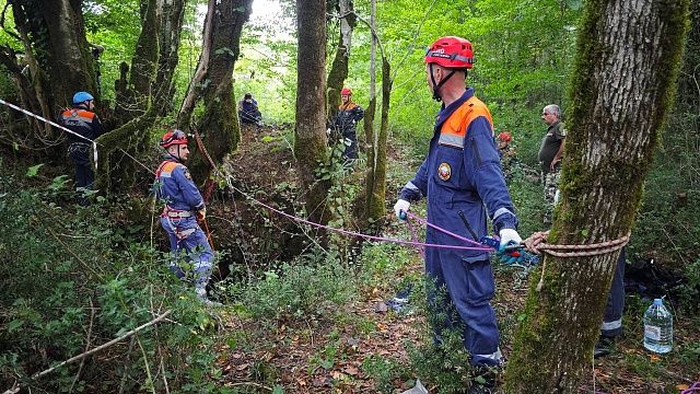 Фото: t.me/officialsochi