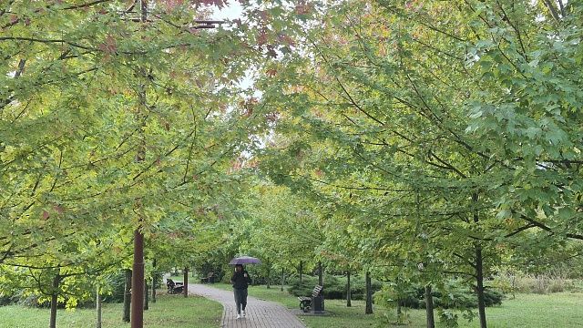 Фото: телеканал «Краснодар» 