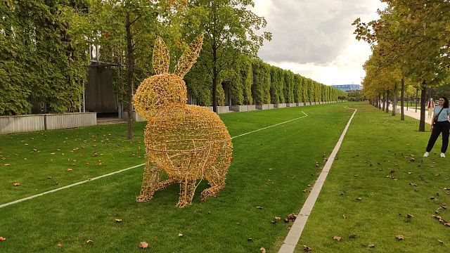 В парке «Краснодар» завелся огромный кролик Фото: Евгений Таранжин