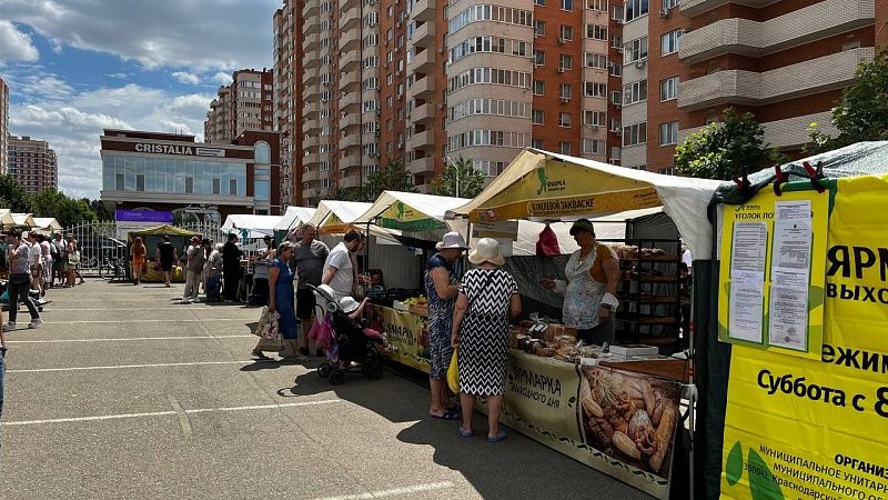 Свежий урожай фруктов привезли на ярмарки выходного дня в Краснодаре