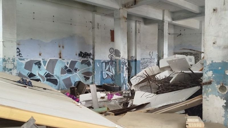 Полиция нашла подростков, снявших видео с мертвыми собаками в Благовещенске 