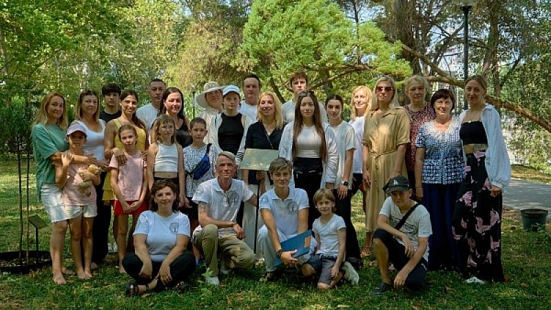 Аллею оливковых деревьев высадили на Приморской набережной Сочи