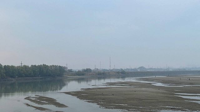 В реку выпустили 132 малька осетра на Кубани