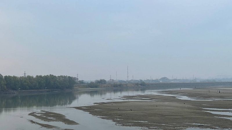 В реку выпустили 132 малька осетра на Кубани