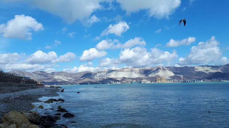 Грузооборот морпорта Новороссийска снизился в 2024 году