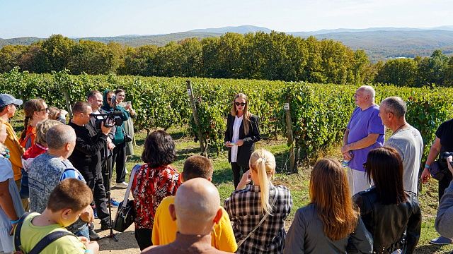 Парад виноделов впервые прошел в Краснодарском крае