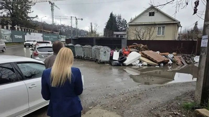 За переполненные мусорные баки будут штрафовать в Сочи