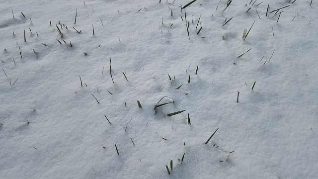 Впервые за 51 год Билибинскую АЭС остановили на Чукотке