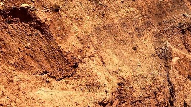 Учёные НАСА нашли возможные подтверждения жизни на Марсе