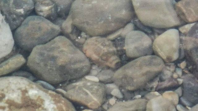 Жители Сочи обнаружили гранату в устье реки