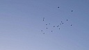 Россиянка рассказала, как пряталась в подъезде во время атаки БПЛА на Чехов